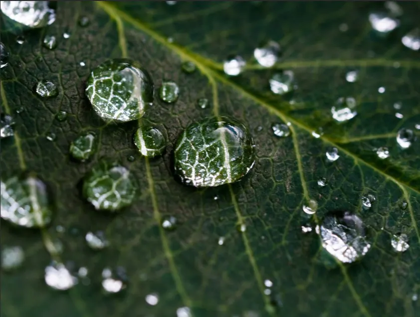 Environmental Responsibility
